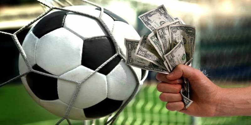 Bóng đá 88 Net: Trải nghiệm cá cược bóng đá trực tuyến hấp dẫn