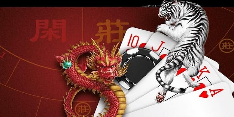 Tại Sao Nên Chơi Rồng Hổ Net88?